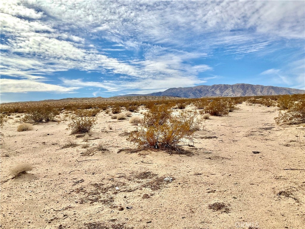 80767 29 Palms