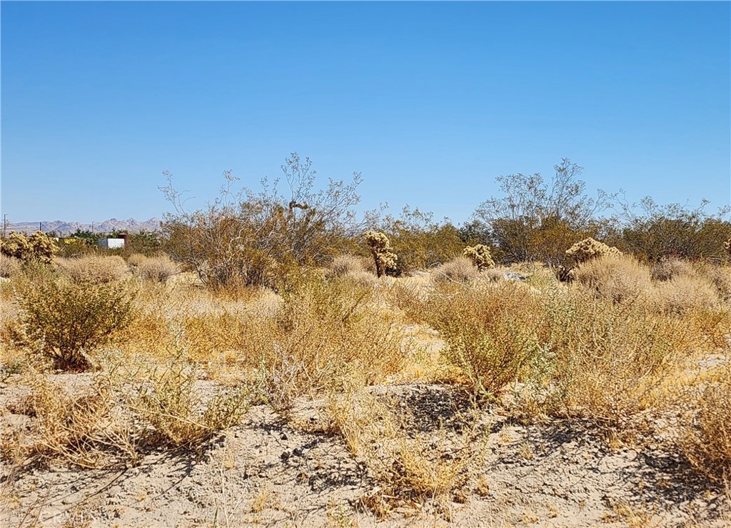 2.19 acres with power and natural gas adjacent, just off of paved road. This property is on the west side of town, close to down-town Lucerne Valley and Apple Valley amenities. Beautiful location for your custom home. (The address on this listing is not a county assigned address and is being used solely for the purpose of identification of this listing on the MLS and media.)