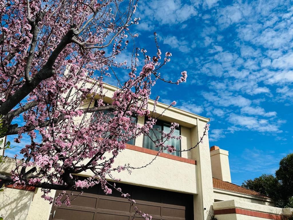 Photo of 12 Riviera Circle, Redwood City, CA 94065 (MLS # ML82043289)