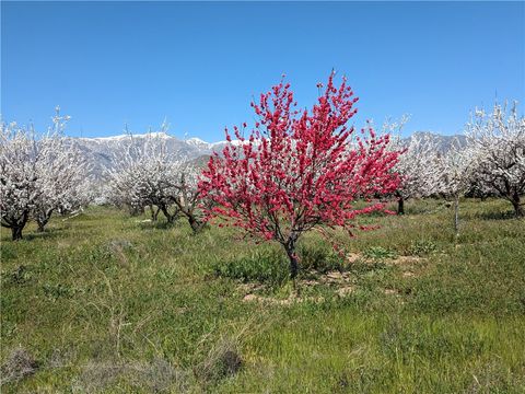 Photo of 0 Pump House Road, Banning, CA 92220 (MLS # CV26028311)