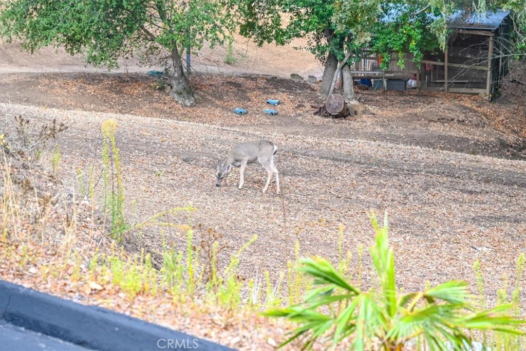 ATSouthwest(50) - Residential