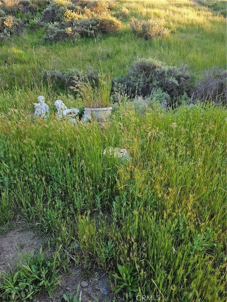 27375 Sycamore Mesa Road