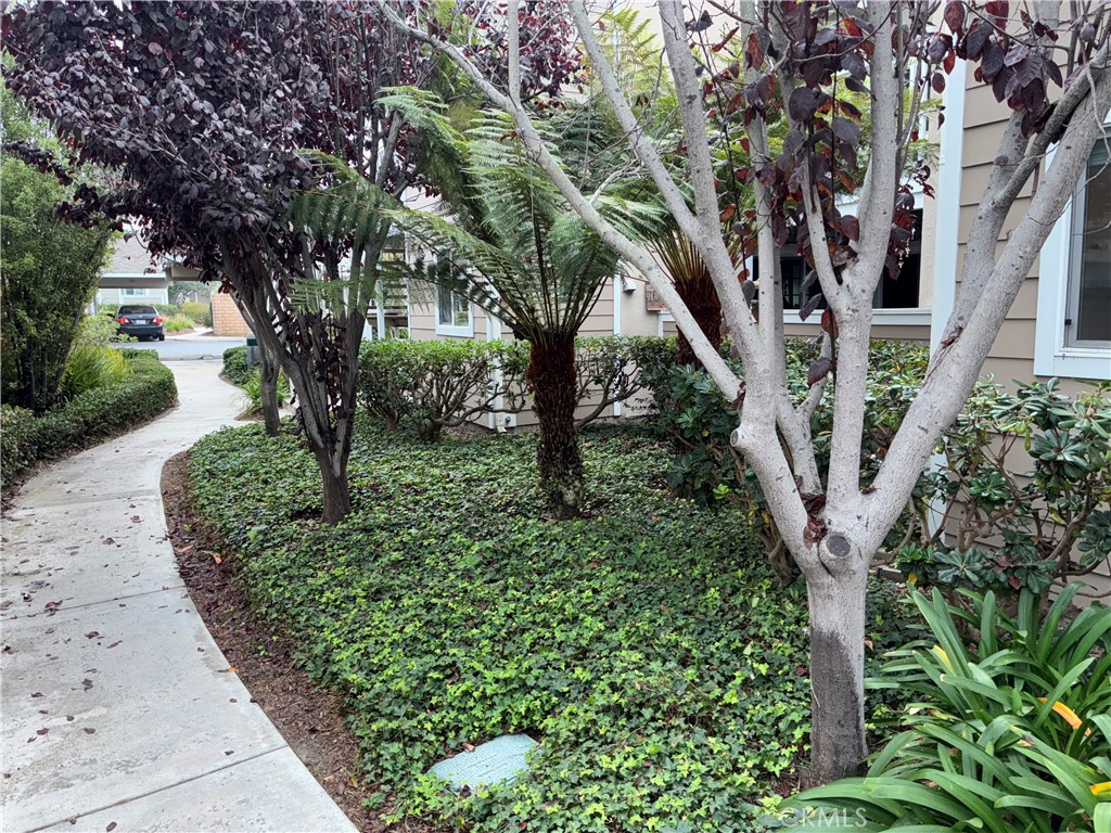 Niguel Beach Terrace (NBT) - Residential Lease