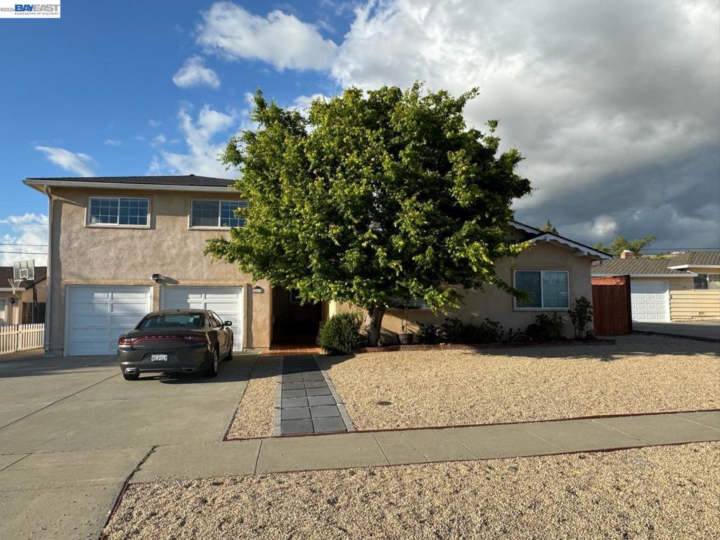 41670 Paseo Padre Pkwy