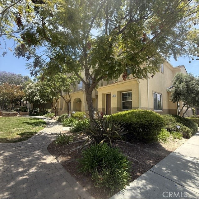 44972 Bellflower