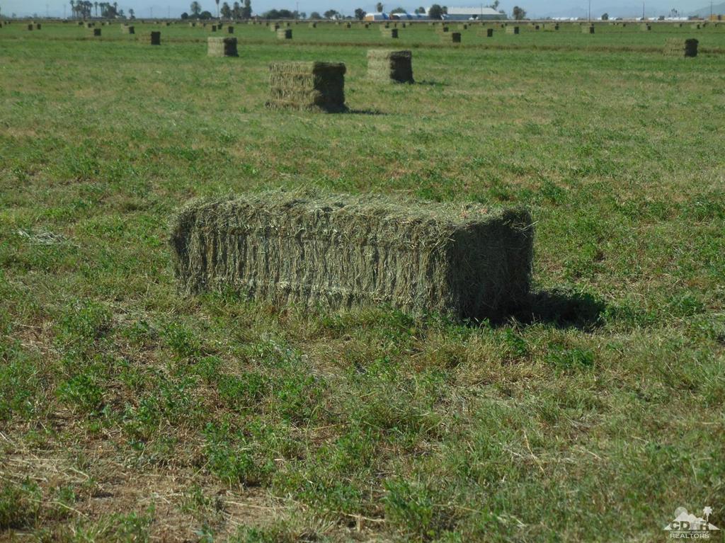 Not Applicable-1 - Land