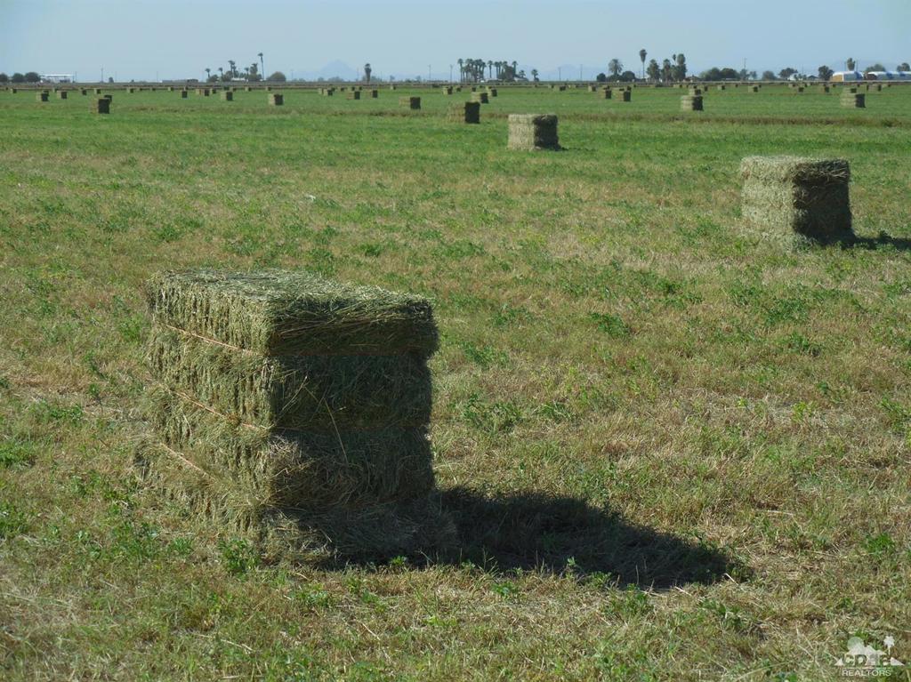 Not Applicable-1 - Land