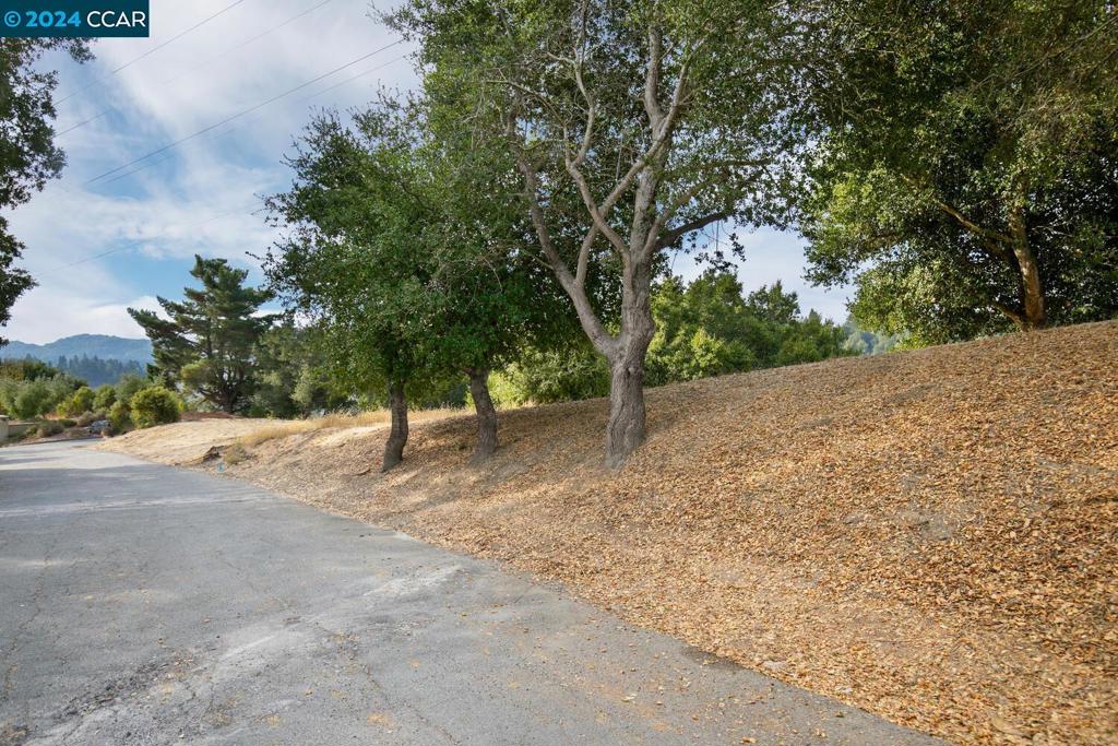 PRICE REDUCED $100,000! Almost FOUR private acres with views off Donald Drive near Glorietta! Build your own private paradise and custom home with your personal specifications in the highly acclaimed Orinda school district, or subdivide and build for profitable resale. Very easy to see, paved right to the edge of the driveway. Utilities are in the street (public water and sewer.) See more at 46Cedar.com