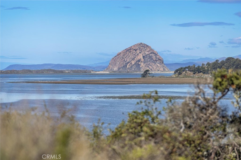 Elfin Forest - Residential