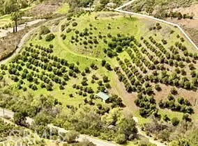 Welcome to 7.2 acres of natural beauty in the highly desirable De Luz Ranchos community. Enter through a private gate and cross Sandia Creek to find a gently winding road that leads past a producing orchard to a flat elevated pad with breathtaking, panoramic views, ideal for a custom home, private estate, or a peaceful weekend retreat.
For a preview of the property, contact the Listing Agent.