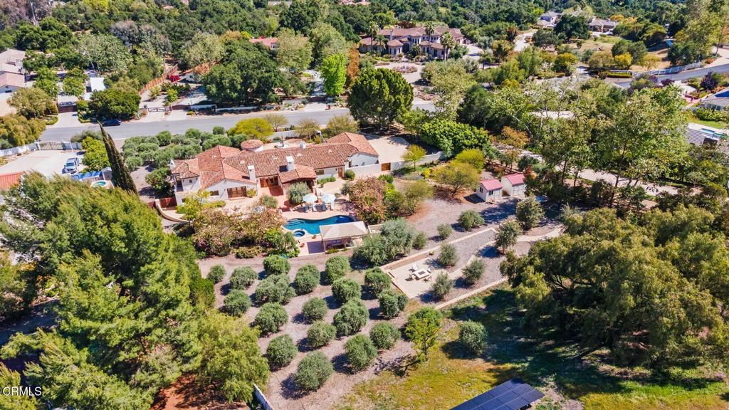 10971 Alto Court