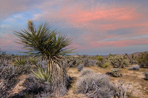 Photo of 102 Saddleback Road, Joshua Tree, CA 92252 (MLS # 219152437PS)