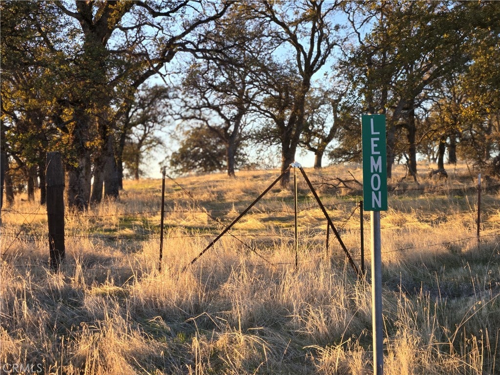 0 Avacado Road