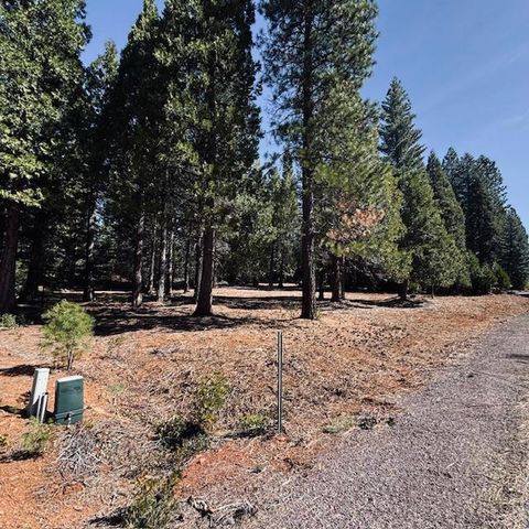 Photo of 806 Red River Drive, Lake Almanor, CA 96137 (MLS # ML82041055)