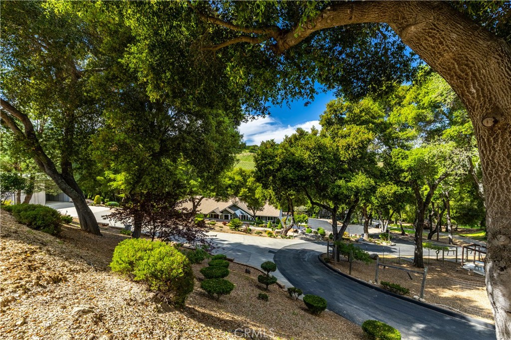 9200 Santa Cruz Road