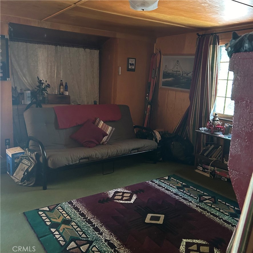 119 Barton Flats Trail