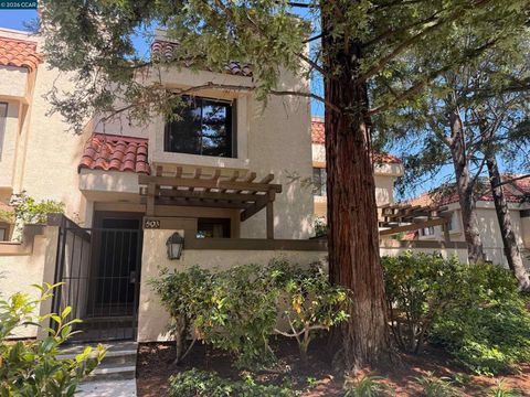 Photo of 503 Pimlico court Ct, Walnut Creek, CA 94596 (MLS # 41132416)