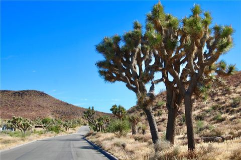 Photo of 56448 Skyline Ranch Road, Yucca Valley, CA 92284 (MLS # JT25038167) Photo of 56448 Skyline Ranch Road, Yucca Valley, CA 92284 (MLS # JT25038167)