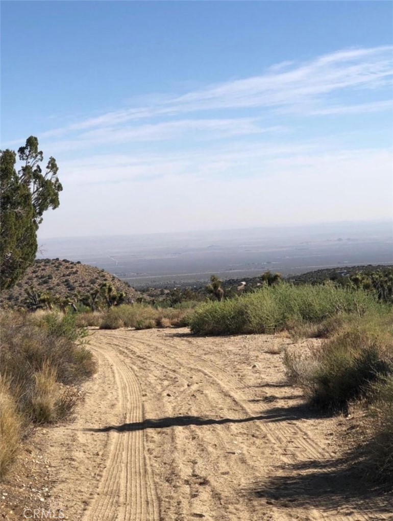Great opportunity to buy Two Parcels of land in the foothills of the San Gabriel Mountains. Just minutes from Mountain High Ski Resort, Crystalaire Country Club, and so much more!