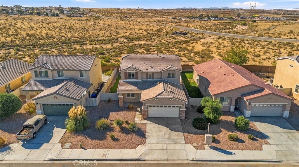 16788 Desert Lily