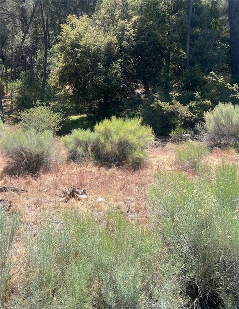Photo of 13708 Yellowstone DR, Frazier Park, CA 93225 (MLS # SR26120301)