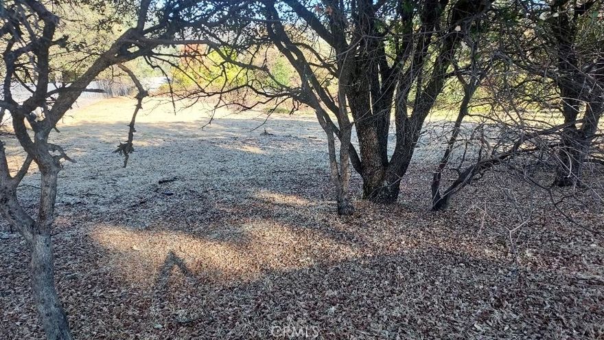 Spacious lot with good access.  Located next to 502 Kelly Ridge Rd.  480 Kelly Ridge Rd. owns lot between 480 and 494 according to public records.  Super nice lot close to Lake Oroville, Lakeside Market and minutes to downtown Oroville.  Well priced for quick sale.
