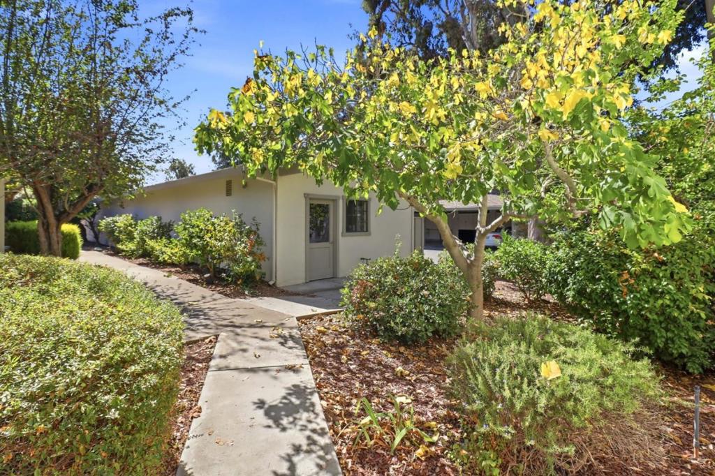 5438 Cribari Green