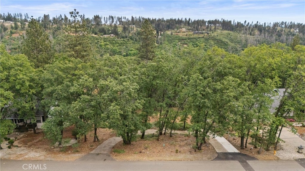 13434 Adrian Drive