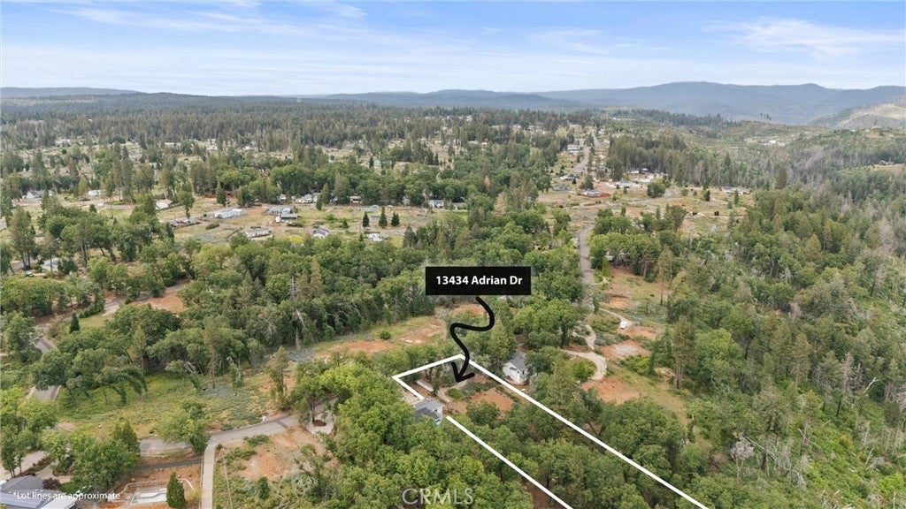 13434 Adrian Drive