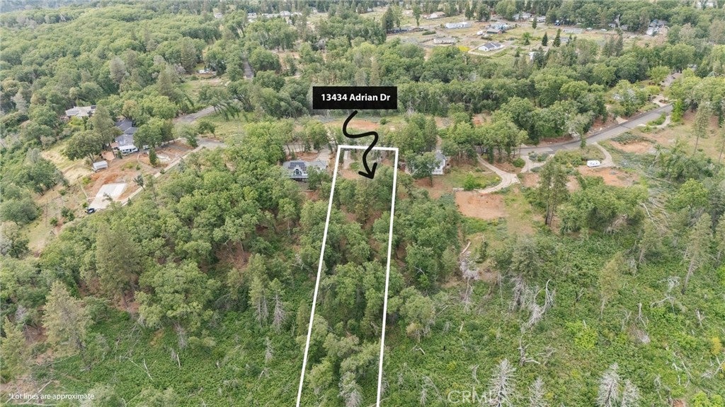 13434 Adrian Drive