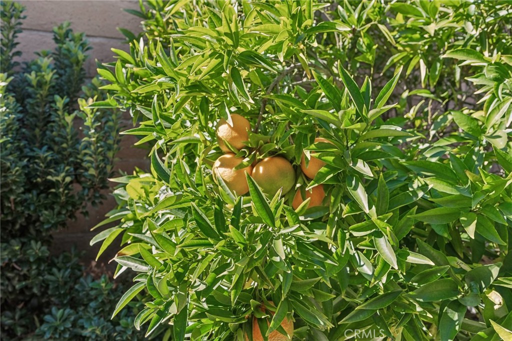 Cortez (CZ) - Residential