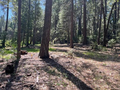 Photo of Nevada City, CA 95959 (MLS # ML82044524)