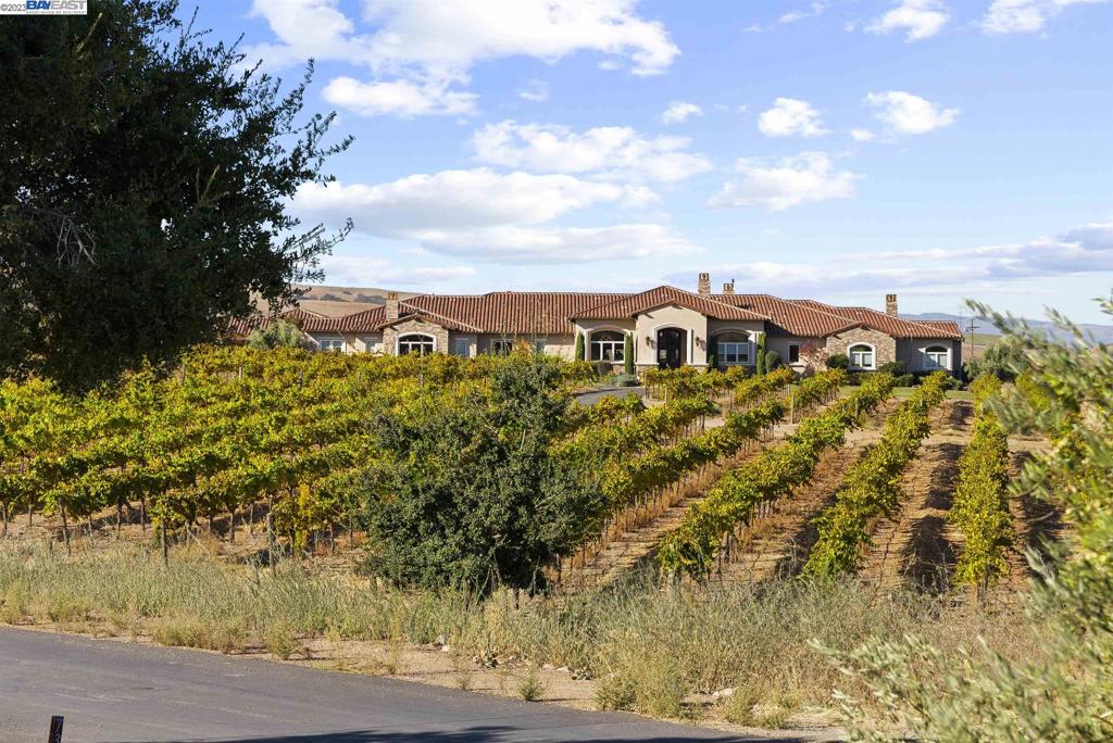 Exquisite Vineyard Estate with Unparalleled Luxury and Views! Welcome to a truly remarkable estate home, an oasis of sophistication and tranquility in the wine country heart of Livermore. This one-story vineyard property is a testament to refined living, boasting over 8,600 sqft of meticulously crafted living space, with attention to detail evident in every corner, nestled on an expansive 17 acre lot, 15 of which grow exquisite Chardonnay grapes. Enjoy the breathtaking view of the Tri-Valley Conservancy from nearly every elegant angle, such as the large tasting room with attached barbeque area, perfect for gatherings, or the expansive backyard, featuring multiple fire pits, over 12,00 sqft of oversized pavers, and bocce ball court. Relax in the luxurious spa bathtub framed by the picturesque view of the rolling vines. Step into the gourmet kitchen, a haven for culinary enthusiasts with top-tier appliances and expansive counter space. An attached yet secluded in-law unit, with a separate entrance, provides additional accommodation options and a 9-car garage makes parking and storage a breeze. Cedar Mountain offers the perfect fusion of seclusion and sophistication. Embrace a lifestyle where luxury meets nature, and every moment is a celebration of the good things in life.