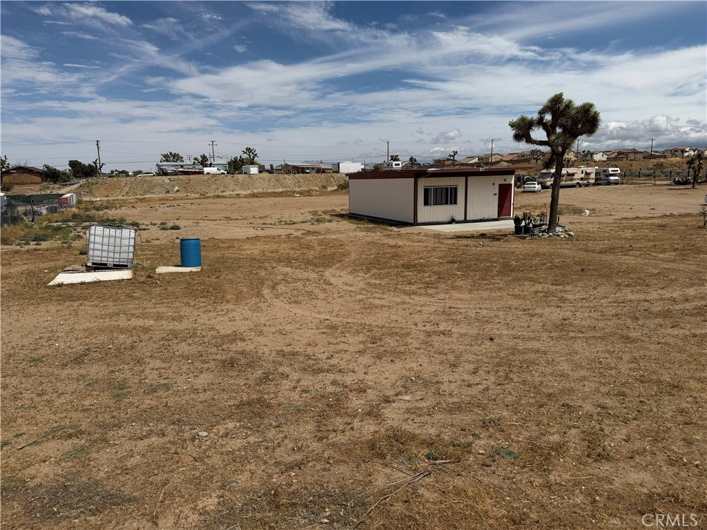 11551 Cactus