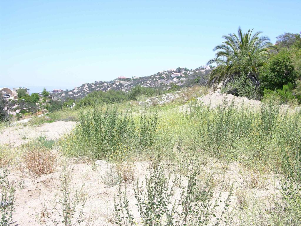 Lot 56 Welcome View