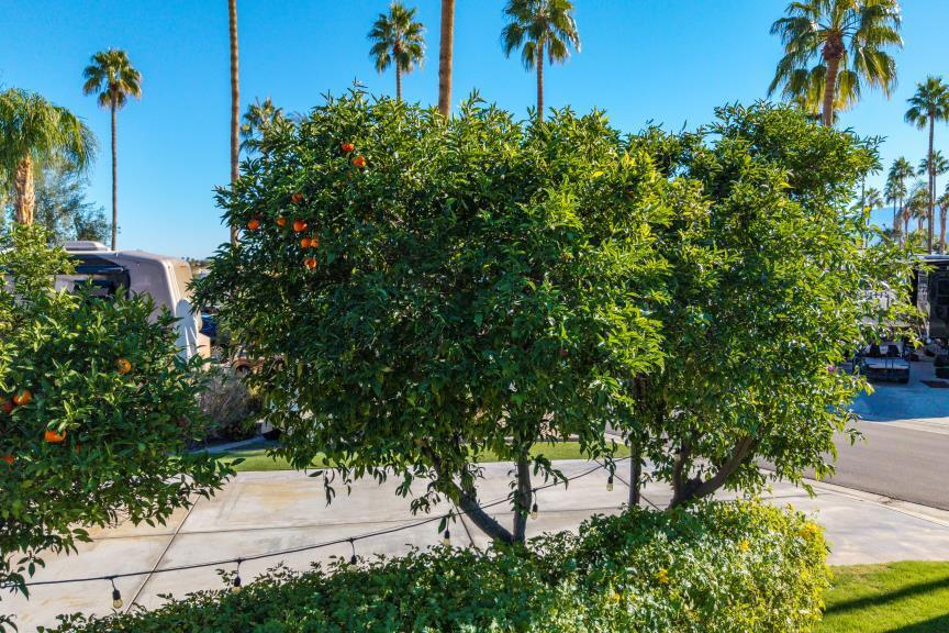 Outdoor Resorts Palm Springs - Land