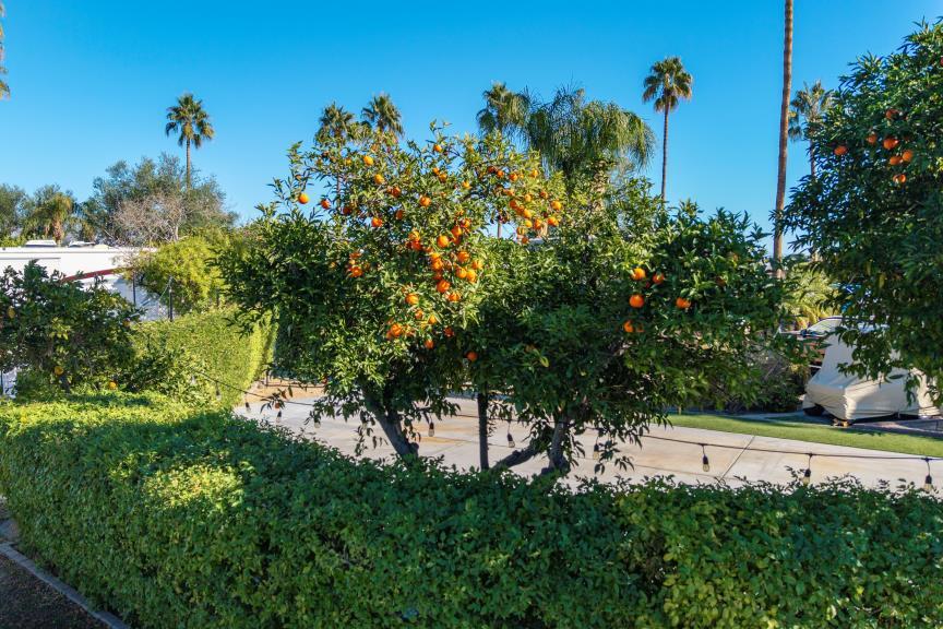 Outdoor Resorts Palm Springs - Land