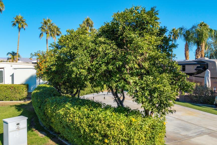 Outdoor Resorts Palm Springs - Land