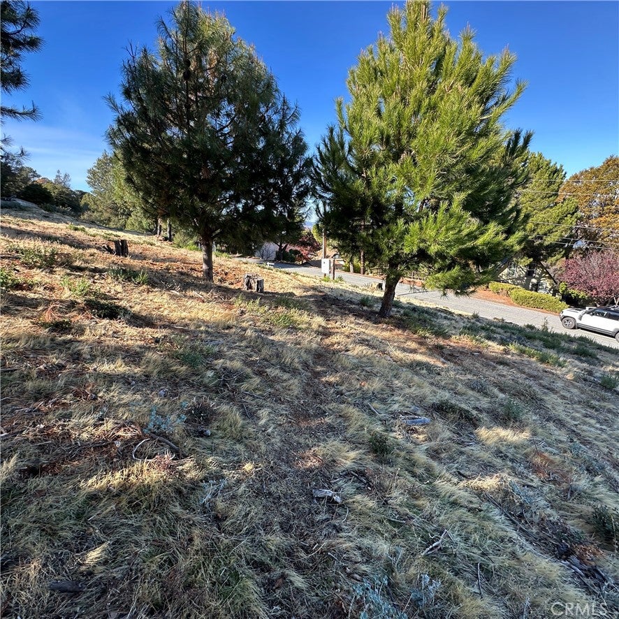 7826 Evergreen