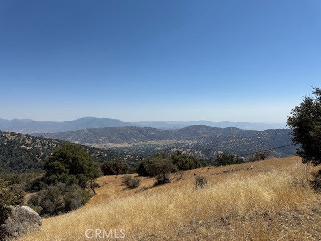 27251 Deertrail