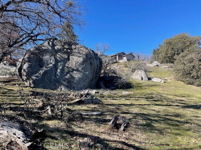 27251 Deertrail