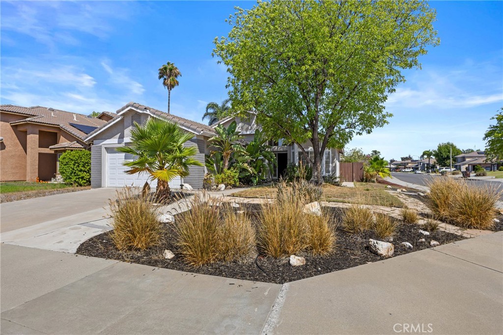 25552 Blackwood