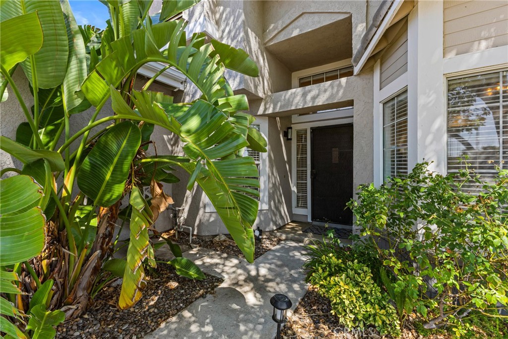 25552 Blackwood