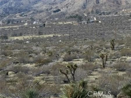 0 29 Palms Highway