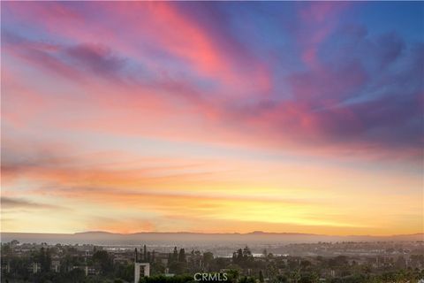 17 Crooked Stick Drive Newport Beach CA 92660