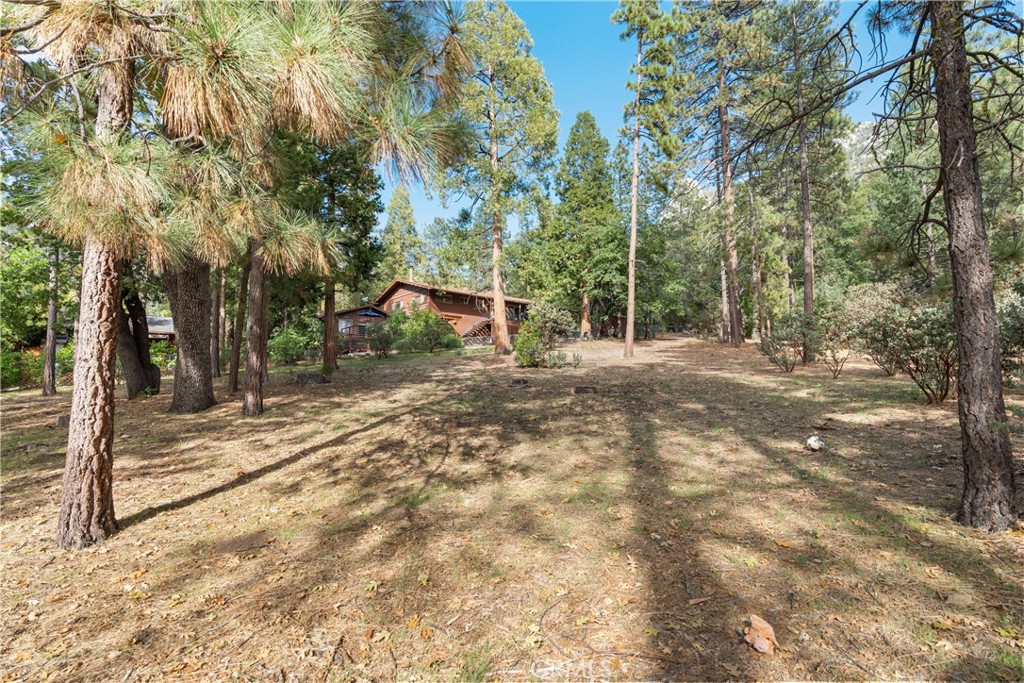 25220 Rim Rock
