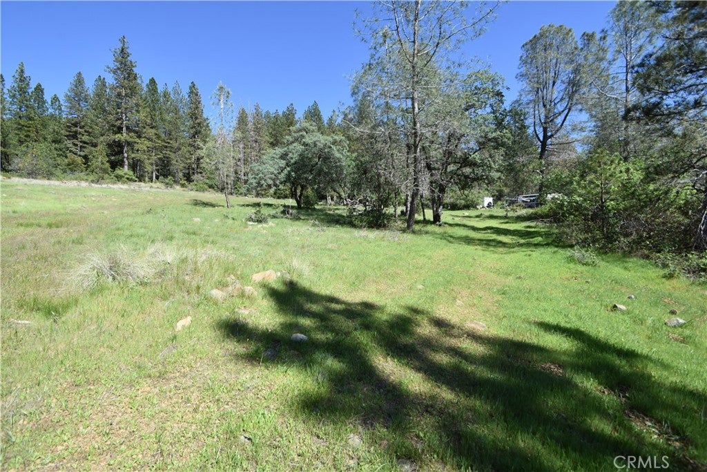 17861 Ponderosa