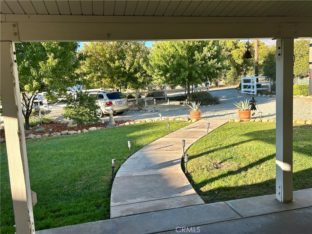 39407 Tokay