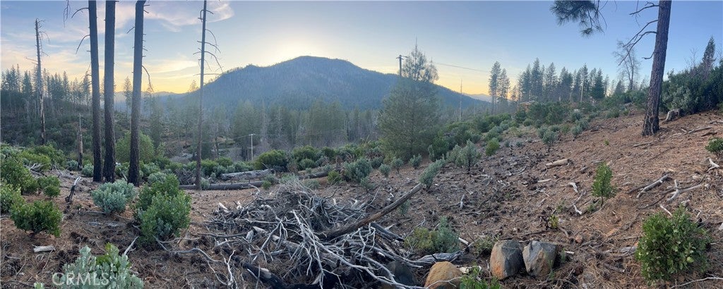 16790 Starview Loop Rd