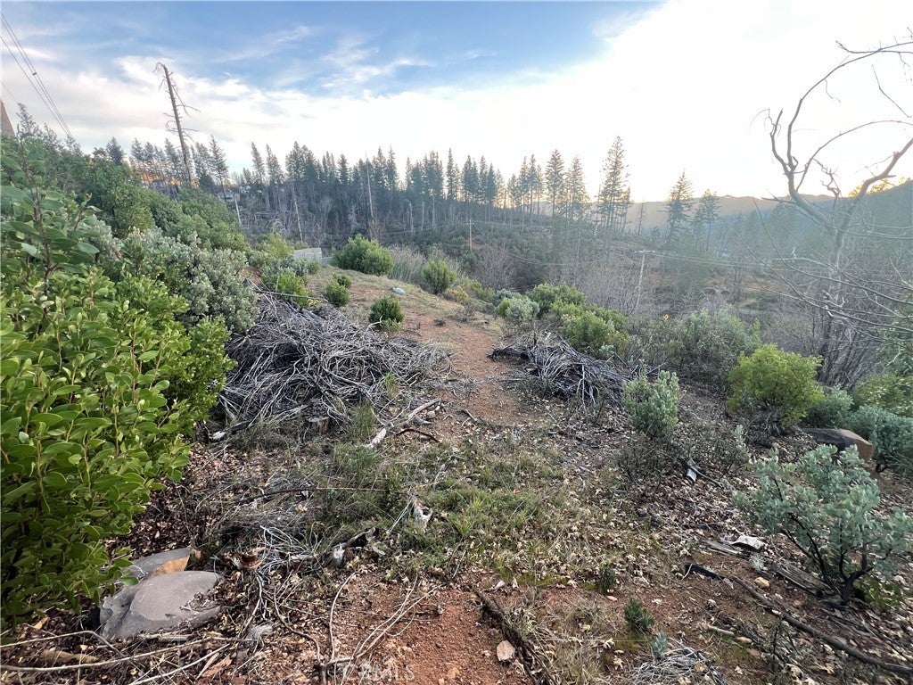 16790 Starview Loop Rd